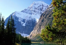 球场上的激烈对抗，谁能笑到最后？