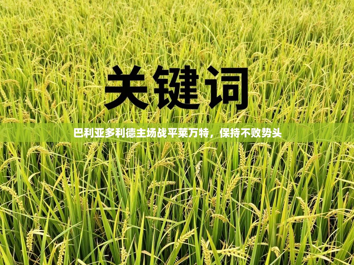 巴利亚多利德主场战平莱万特，保持不败势头  第2张